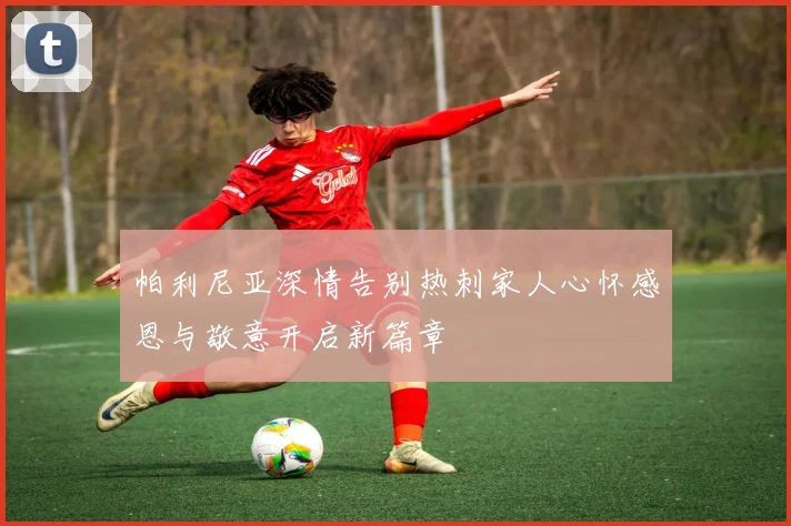帕利尼亚深情告别热刺家人心怀感恩与敬意开启新篇章